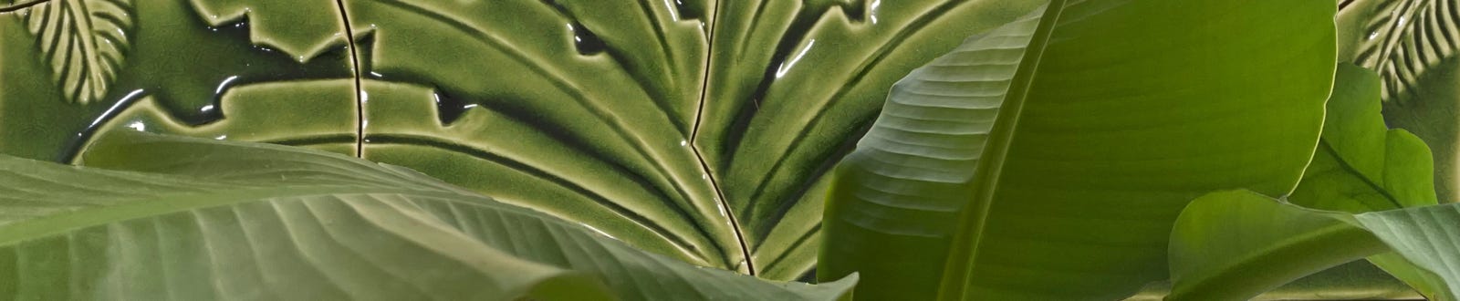 fotografia ceramika w naturze